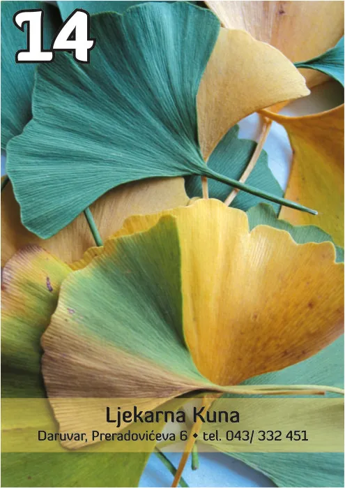 Uzorak 14